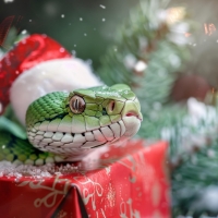 Сладкие новогодние подарки на Год Змеи
