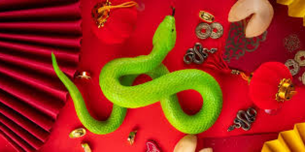 2025 год — Год Зелёной Деревянной Змеи: предвестия, символизм и подготовка к празднованию