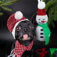 Елочный шар «Новогодние персонажи» Елочный шар «Новогодние персонажи»