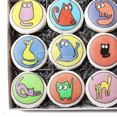 "Коты цветные" средний "Коты цветные" средний