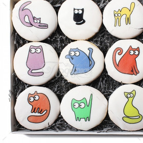 "Коты" средний