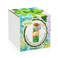 Набор Новогодний эликсир