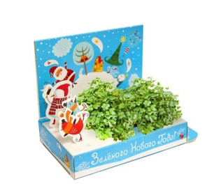 Живая открытка Зеленого Нового года