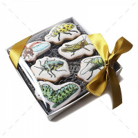 "Насекомые" малый