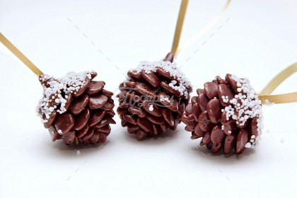 Шишка Шишка