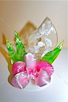 Орхидея Пинк