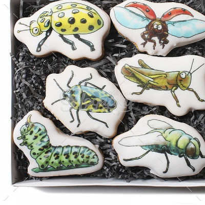 "Насекомые" малый