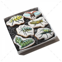 "Насекомые" малый