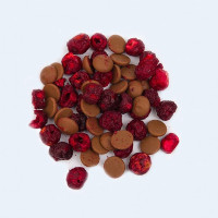 Вишня с шоколадом капучино Вишня с шоколадом капучино