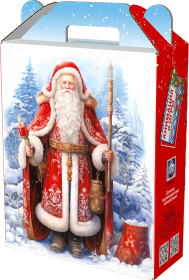 Новогодний подарок в картонной упаковке Русь Новогодний подарок в картонной упаковке Русь