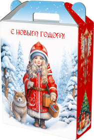 Новогодний подарок в картонной упаковке Русь